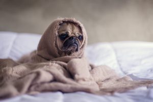 Outils de gestion du stress : pratiques et bénéfices pour les employés d'entreprise
