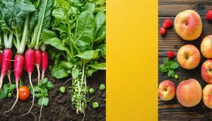 découvrez comment cuisiner avec des ingrédients locaux en accord avec les saisons ! ce guide pratique vous aidera à privilégier la fraîcheur et les saveurs authentiques tout au long de l'année. apprenez à adapter vos recettes en fonction des produits de saison pour une cuisine savoureuse et durable.