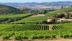 découvrez les plus belles routes des vins en europe grâce à notre guide complet sur l'oenotourisme. explorez des paysages viticoles époustouflants, dégustez des crus d'exception et plongez dans l'univers fascinant des vignobles. une expérience inoubliable pour les amateurs de vin et les voyageurs en quête d'authenticité.